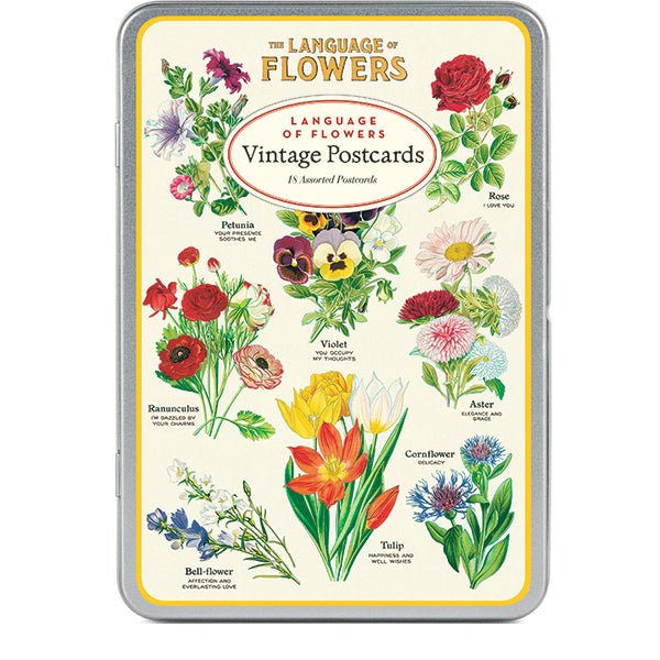 Cavallini & Co Vintage Inspired Postcards in Tins