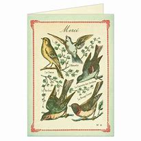 Greeting Cards Vintage Inspired Birds Merci