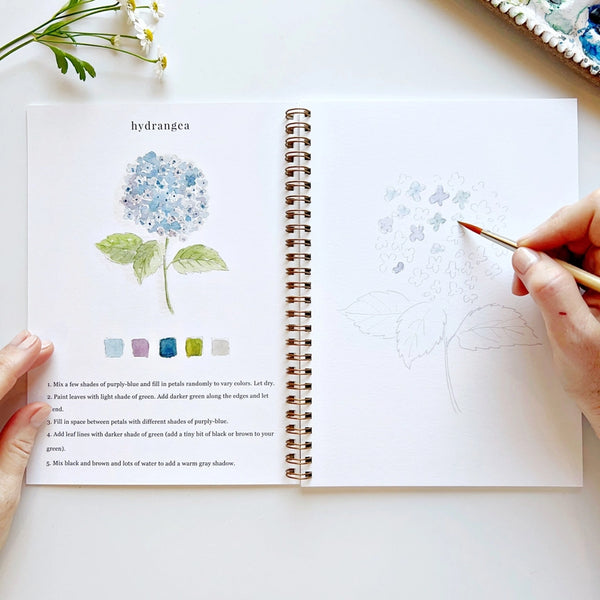 Emily Lex Studio Watercolor Workbooks