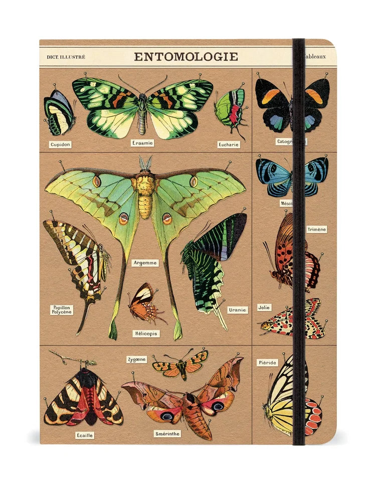 Cavallini & Co Vintage Inspired Large Notebooks