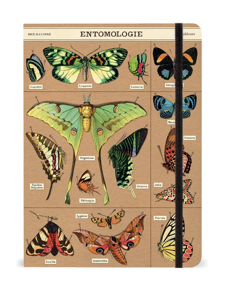Cavallini & Co Vintage Inspired Large Notebooks