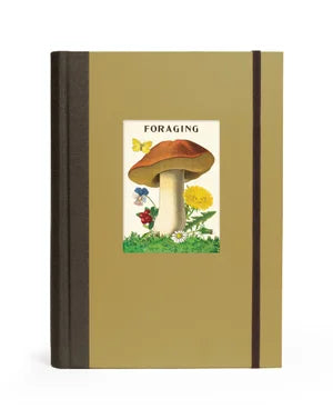Cavallini & Co Window Journals