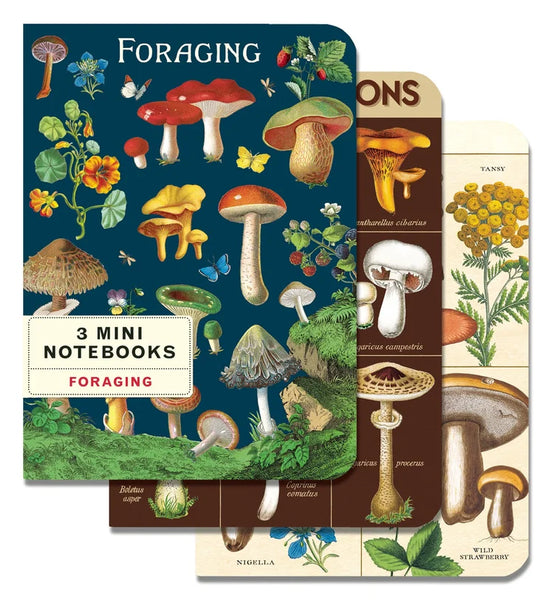 Cavallini & Co Vintage Inspired Mini Notebook Sets