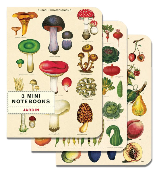 Cavallini & Co Vintage Inspired Mini Notebook Sets