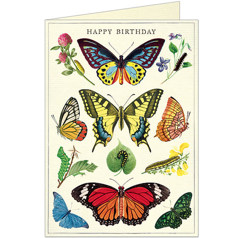 Greeting Cards Vintage Inspired Happy Birthday Butterflies