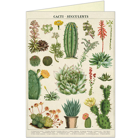 Greeting Cards Vintage Inspired Succulents