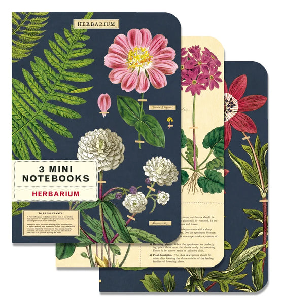 Cavallini & Co Vintage Inspired Mini Notebook Sets