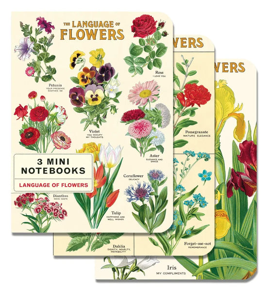Cavallini & Co Vintage Inspired Mini Notebook Sets