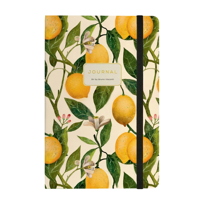 Bruno Visconti BV Hardcover Journals