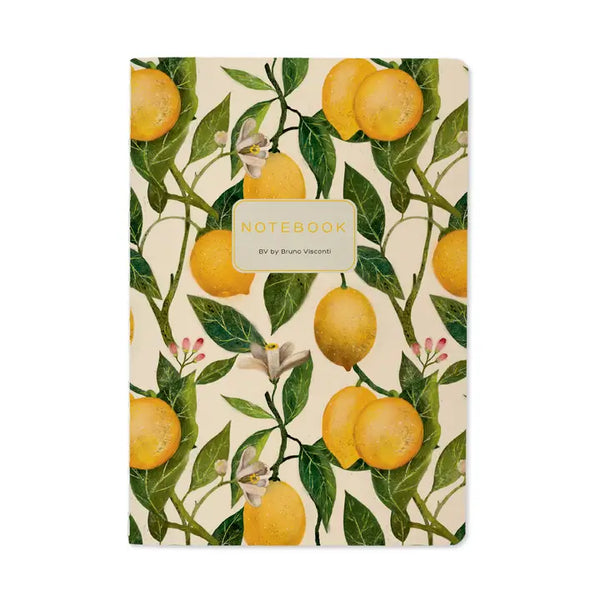 Bruno Visconti BV Notebooks