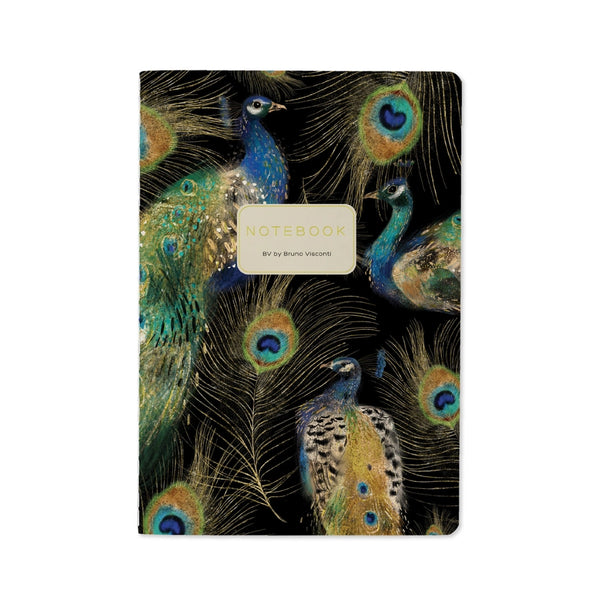 Bruno Visconti BV Notebooks
