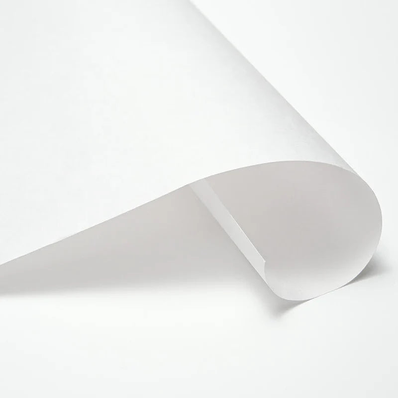 Awagami 21in x 31in Masa Sheets #99