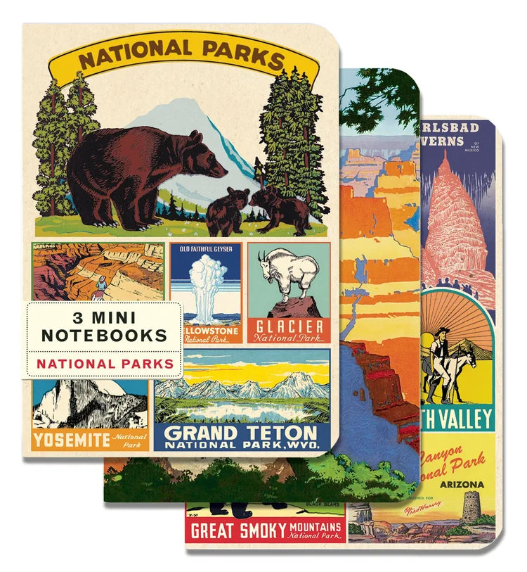 Cavallini & Co Vintage Inspired Mini Notebook Sets