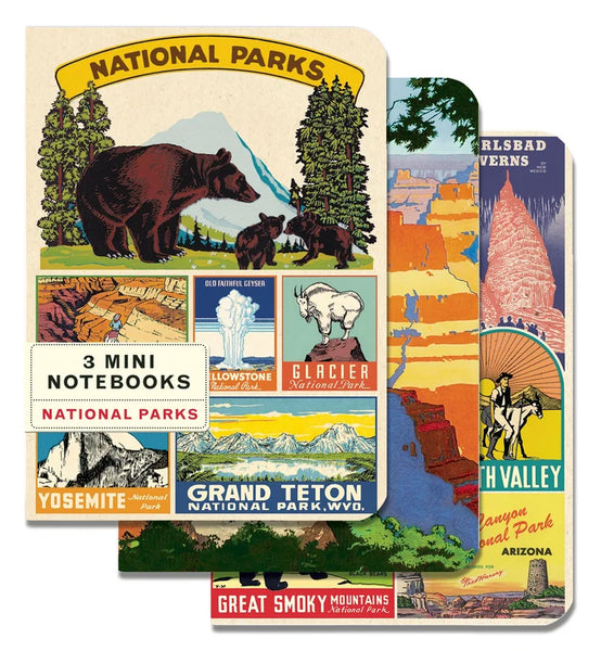 Cavallini & Co Vintage Inspired Mini Notebook Sets