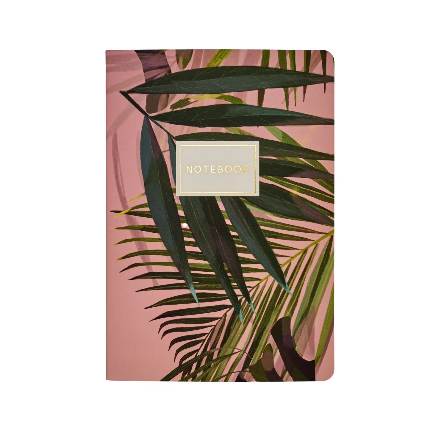 Bruno Visconti BV Notebooks