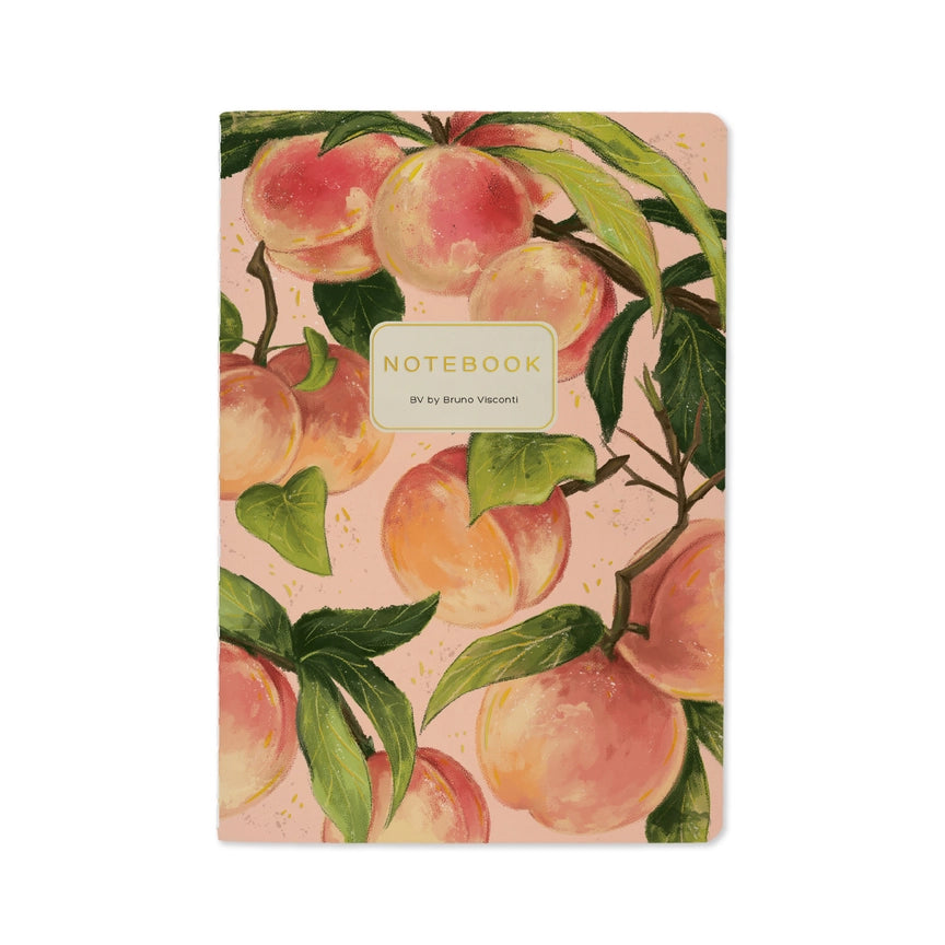 Bruno Visconti BV Notebooks