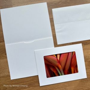 Strathmore Photo Frame Cards