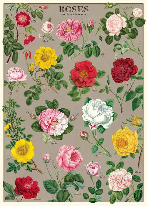 Cavallini & Co Vintage Inspired Posters