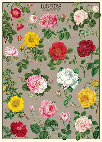 Cavallini & Co Vintage Posters