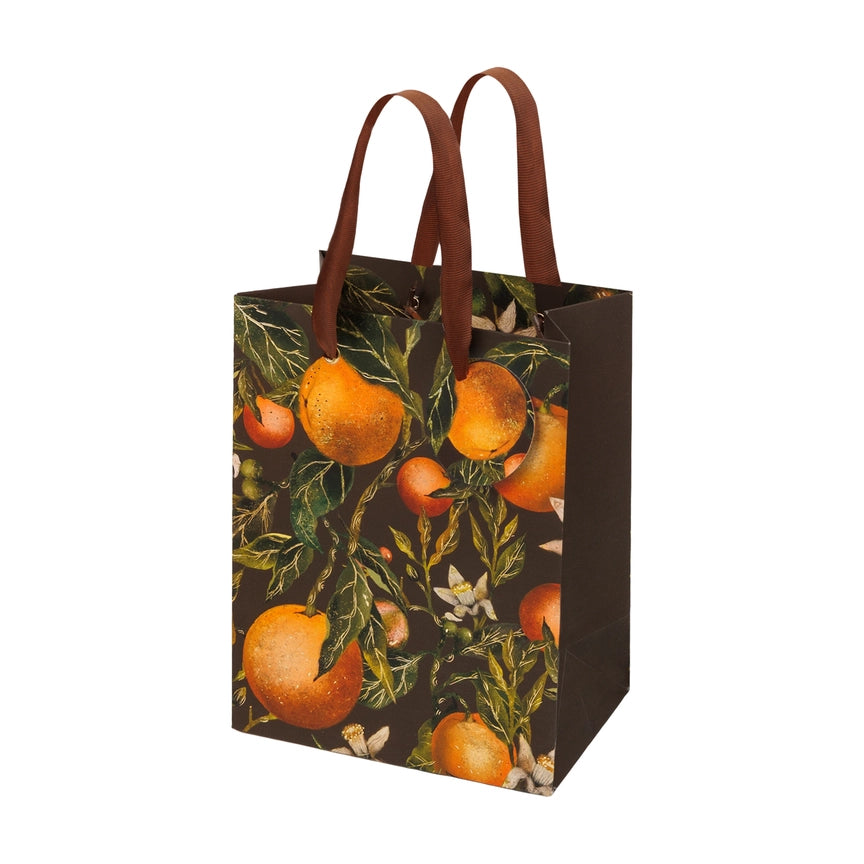 Bruno Visconti BV Gift Bags