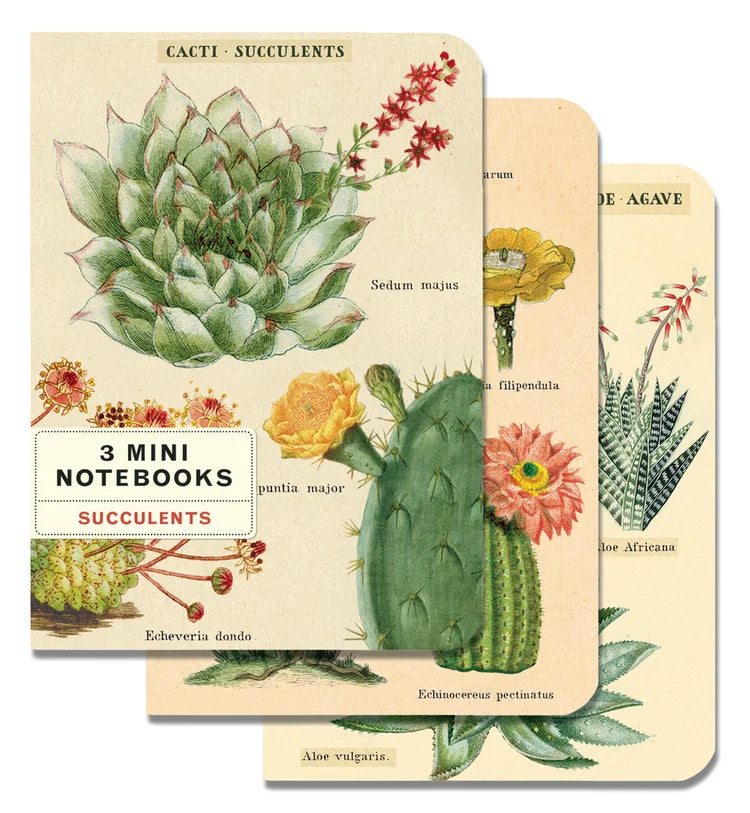 Cavallini & Co Vintage Inspired Mini Notebook Sets