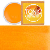 Federal Color Tonic Watercolor Paint Porcelain Pans