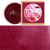 Federal Color Tonic Watercolor Paint Porcelain Pans