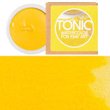 Federal Color Tonic Watercolor Paint Porcelain Pans