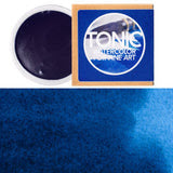 Federal Color Tonic Watercolor Paint Porcelain Pans