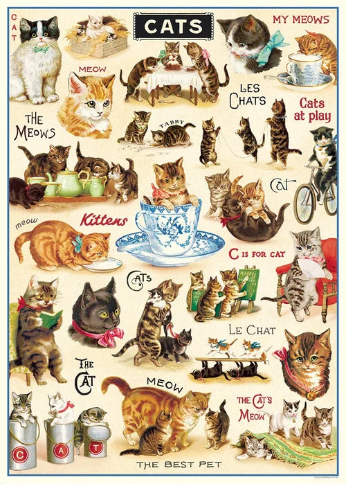Cavallini & Co Vintage Inspired Posters