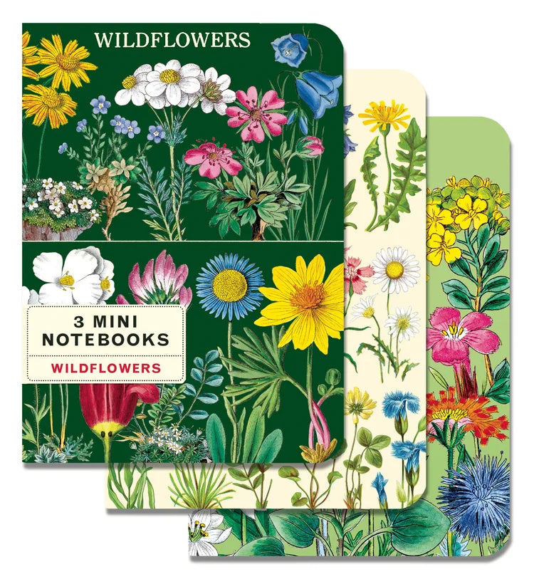 Cavallini & Co Vintage Inspired Mini Notebook Sets