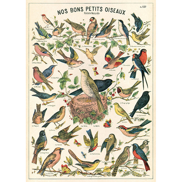Cavallini & Co Vintage Inspired Posters