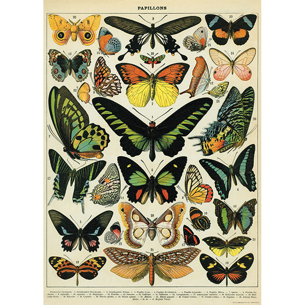 Cavallini & Co Vintage Inspired Posters
