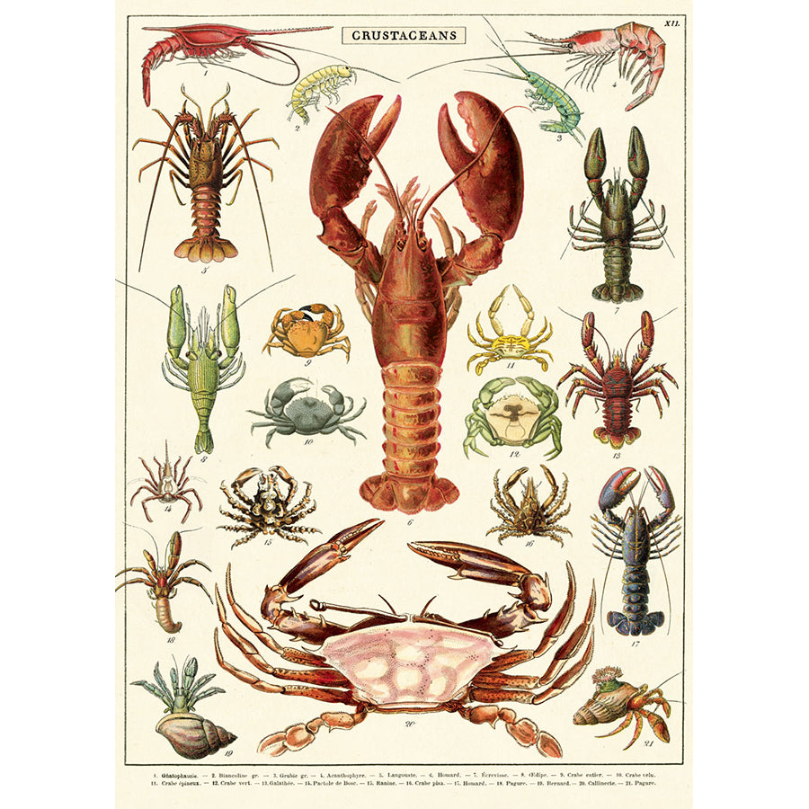 Poster Vintage Inspired Crustaceans