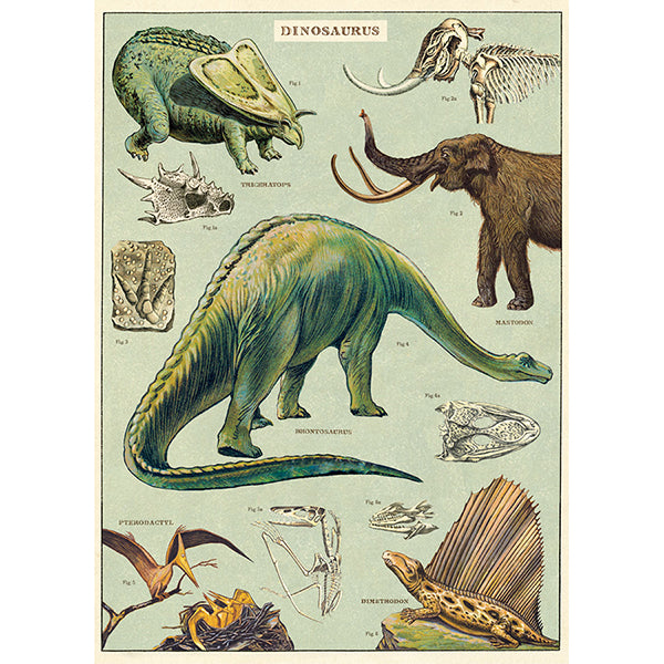 Cavallini & Co Vintage Inspired Posters