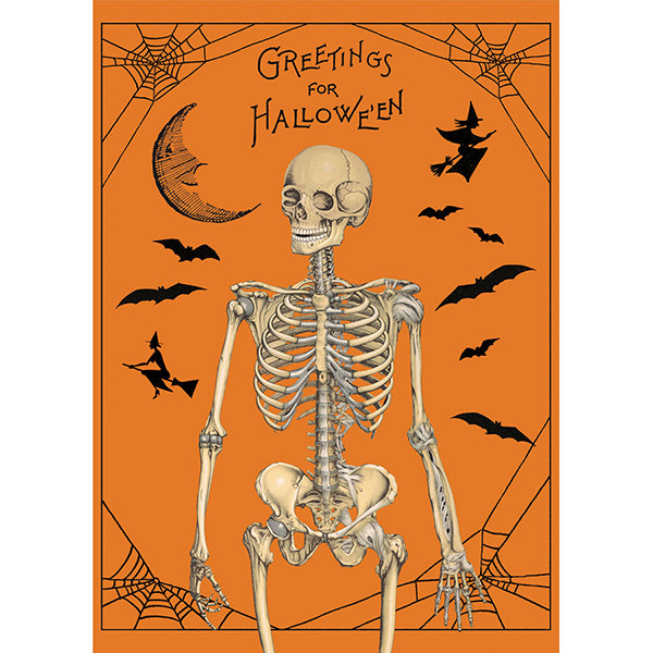 Cavallini & Co Vintage Inspired Posters