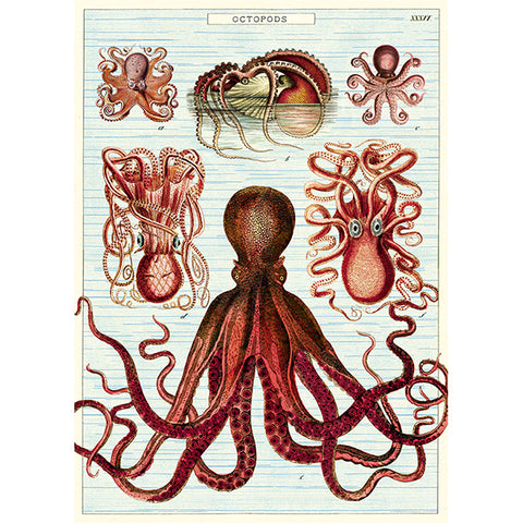 Poster Vintage Inspired Octopods