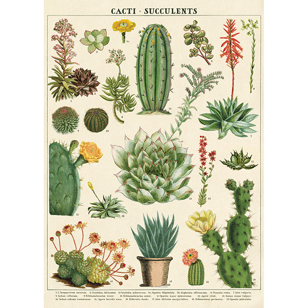 Cavallini & Co Vintage Inspired Posters
