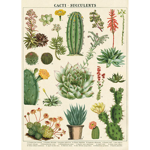 Poster Vintage Inspired Cacti and Succulents