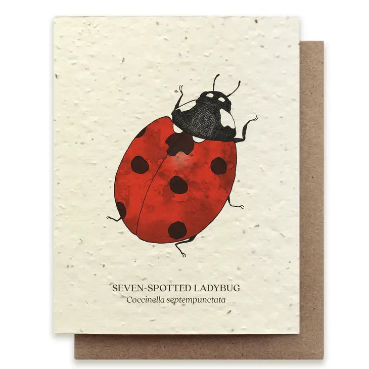 Plantable Greeting Cards Seven Spotted Ladybug