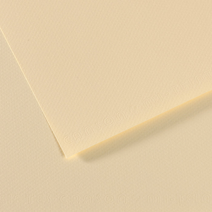 Canson 19in x 25in Artist Series Mi-Teintes Sheets