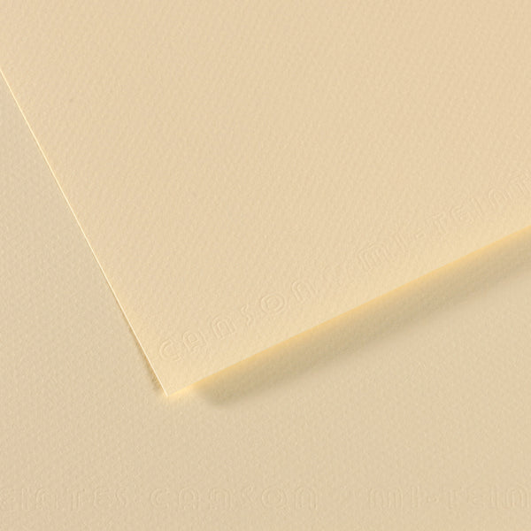Canson 19in x 25in Artist Series Mi-Teintes Sheets