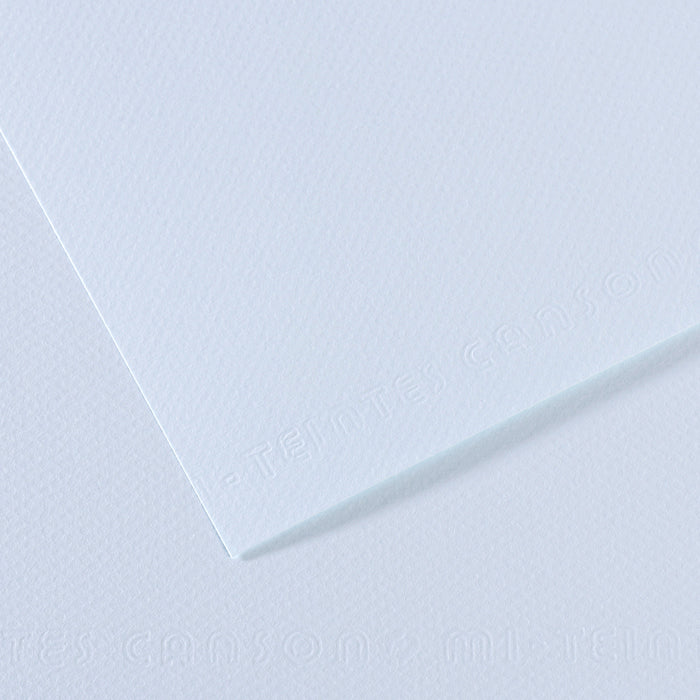 Canson 19in x 25in Artist Series Mi-Teintes Sheets