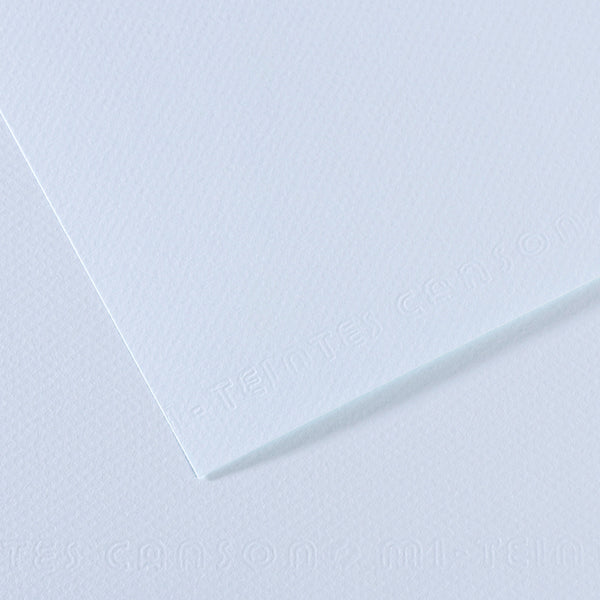 Canson 19in x 25in Artist Series Mi-Teintes Sheets