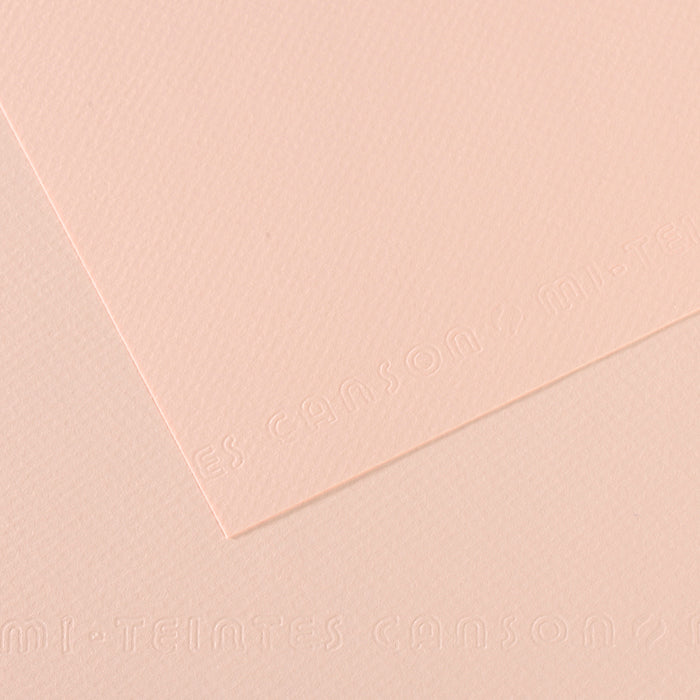 Canson 19in x 25in Artist Series Mi-Teintes Sheets
