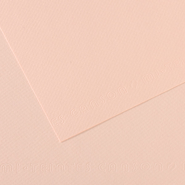 Canson 19in x 25in Artist Series Mi-Teintes Sheets