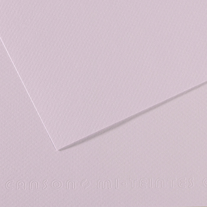 Canson 19in x 25in Artist Series Mi-Teintes Sheets