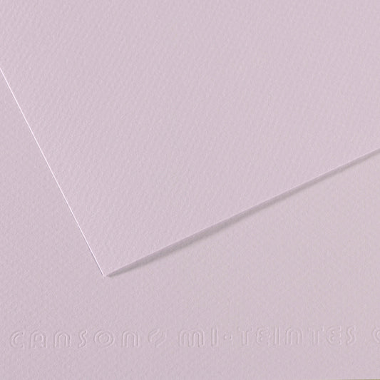 Canson 19in x 25in Artist Series Mi-Teintes Sheets