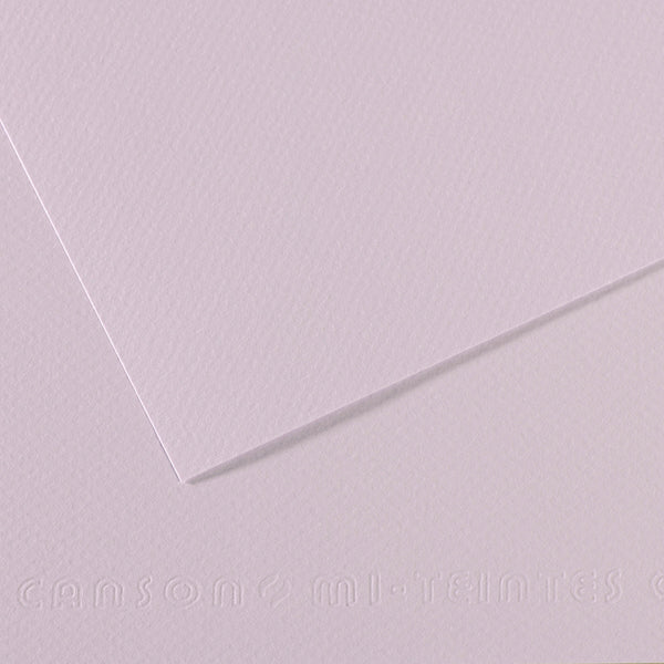 Canson 19in x 25in Artist Series Mi-Teintes Sheets