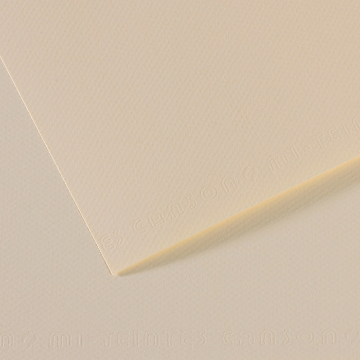 Canson 19in x 25in Artist Series Mi-Teintes Sheets
